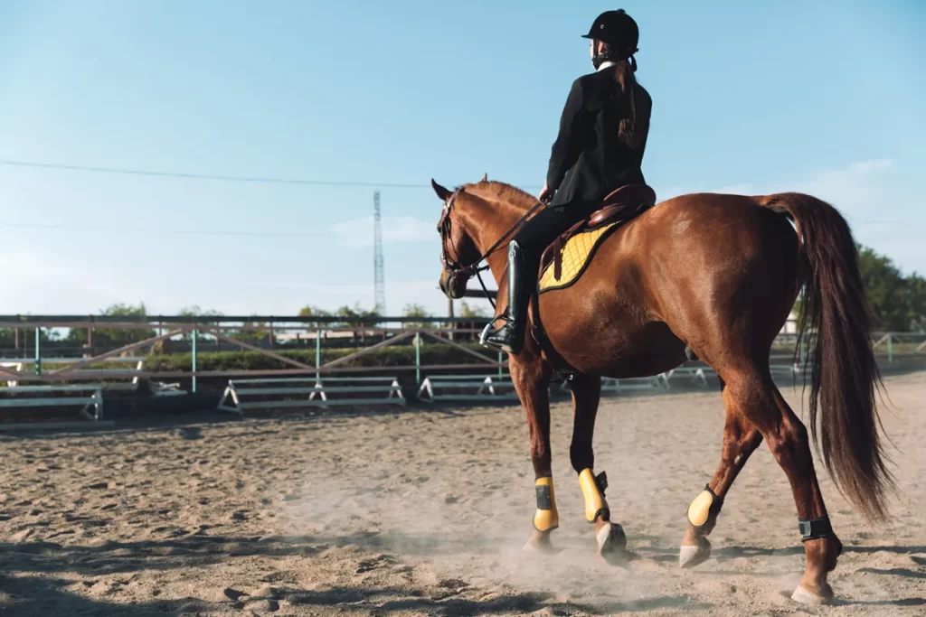 Horse Riding Bali