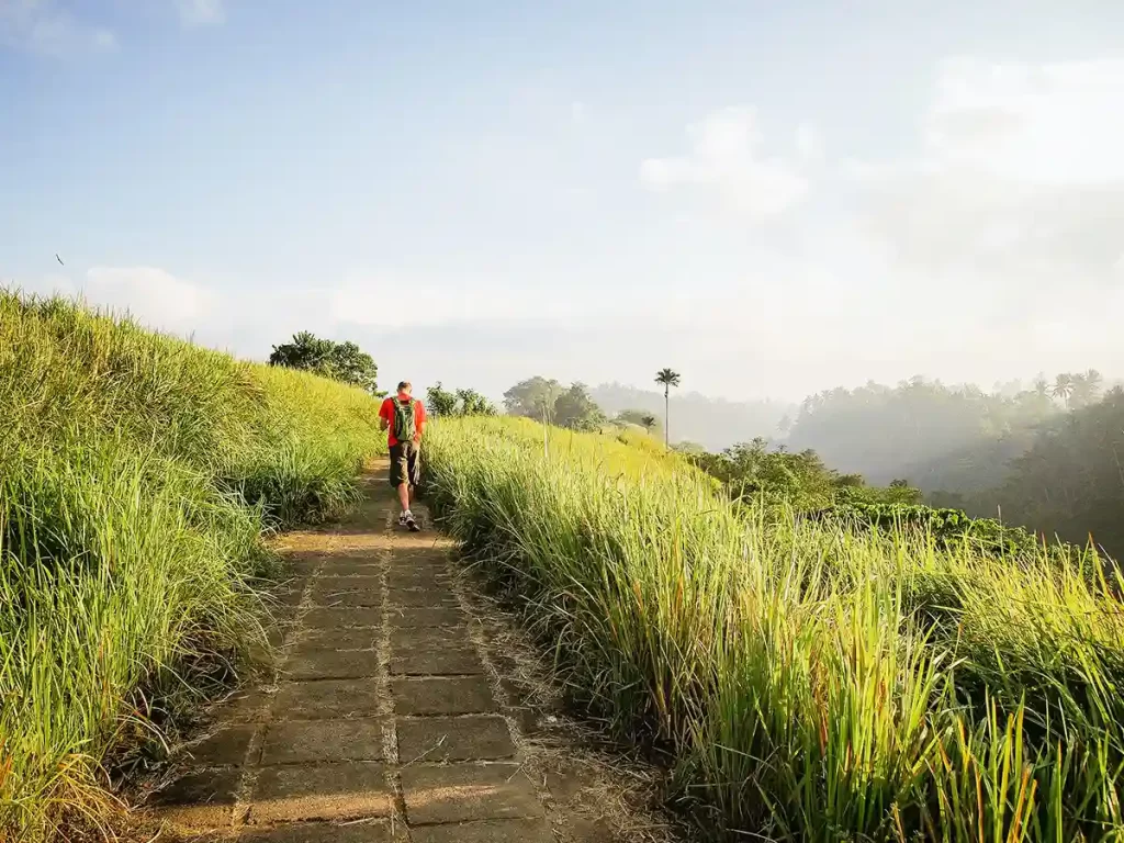 bukit campuhan ubud