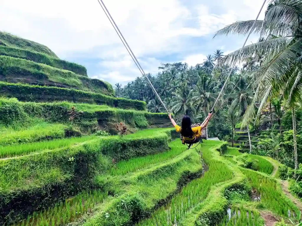 tegallalang rice terrace