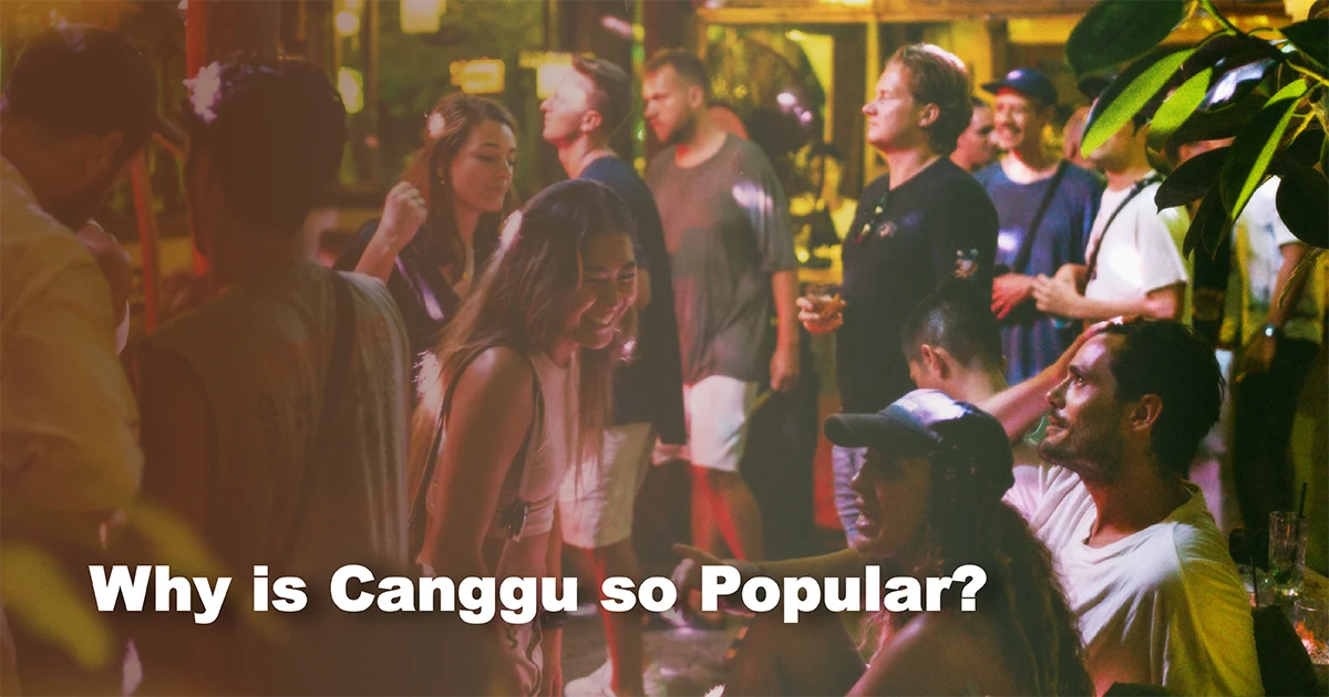 Why is Canggu so popular?