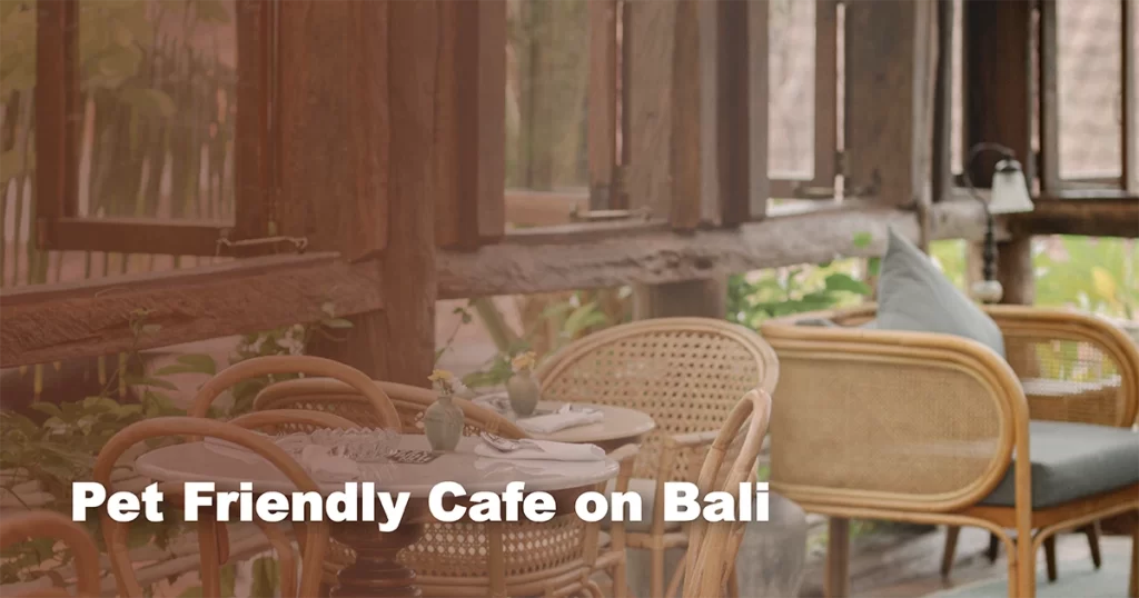 pet-friendly-cafe-on-bali