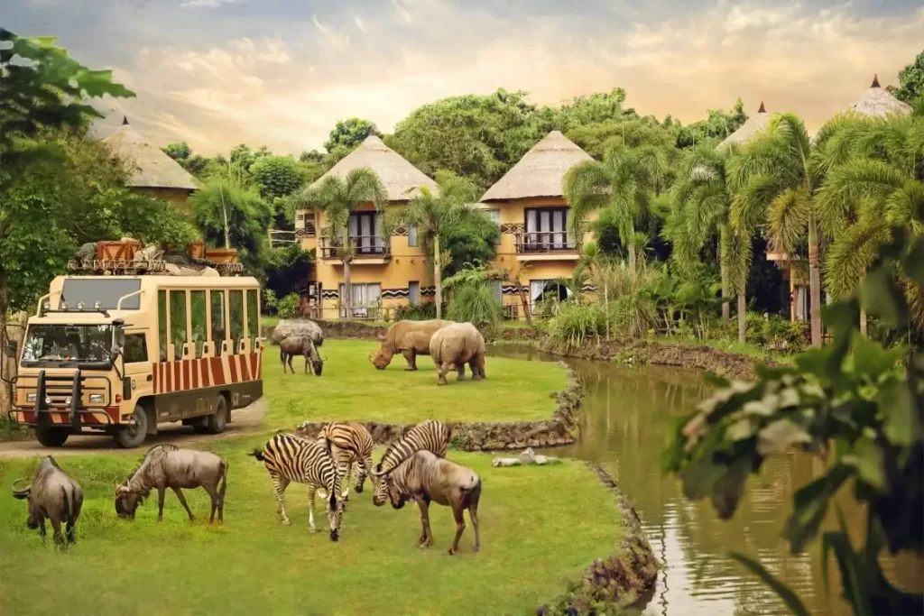 bali-safari