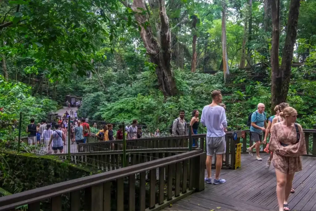 monkey-forest-ubud