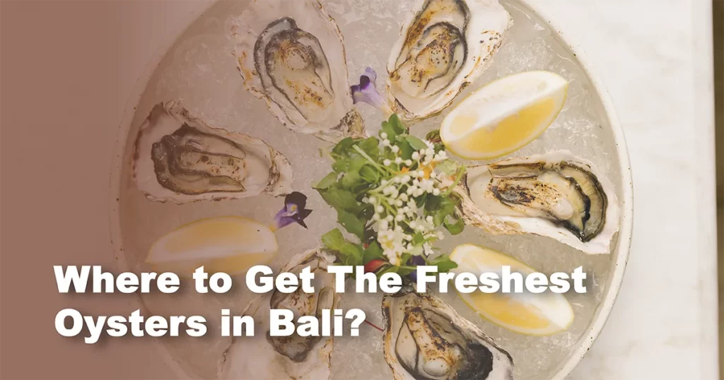 Where to Get The Freshest