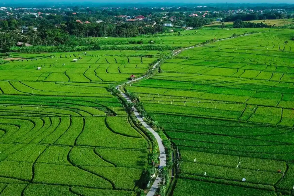 uma-desa-jogging-track-canggu