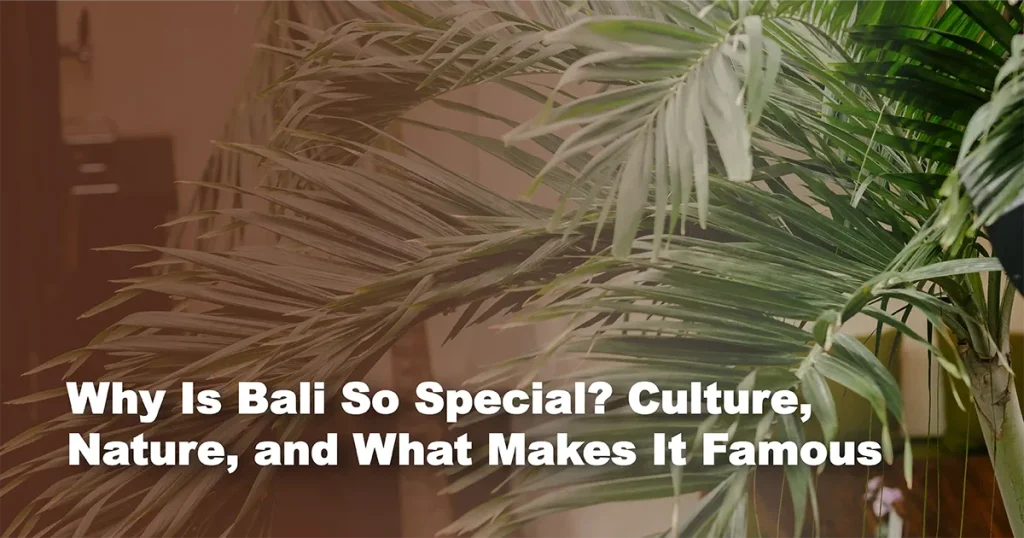 Why-Is-Bali-So-Special